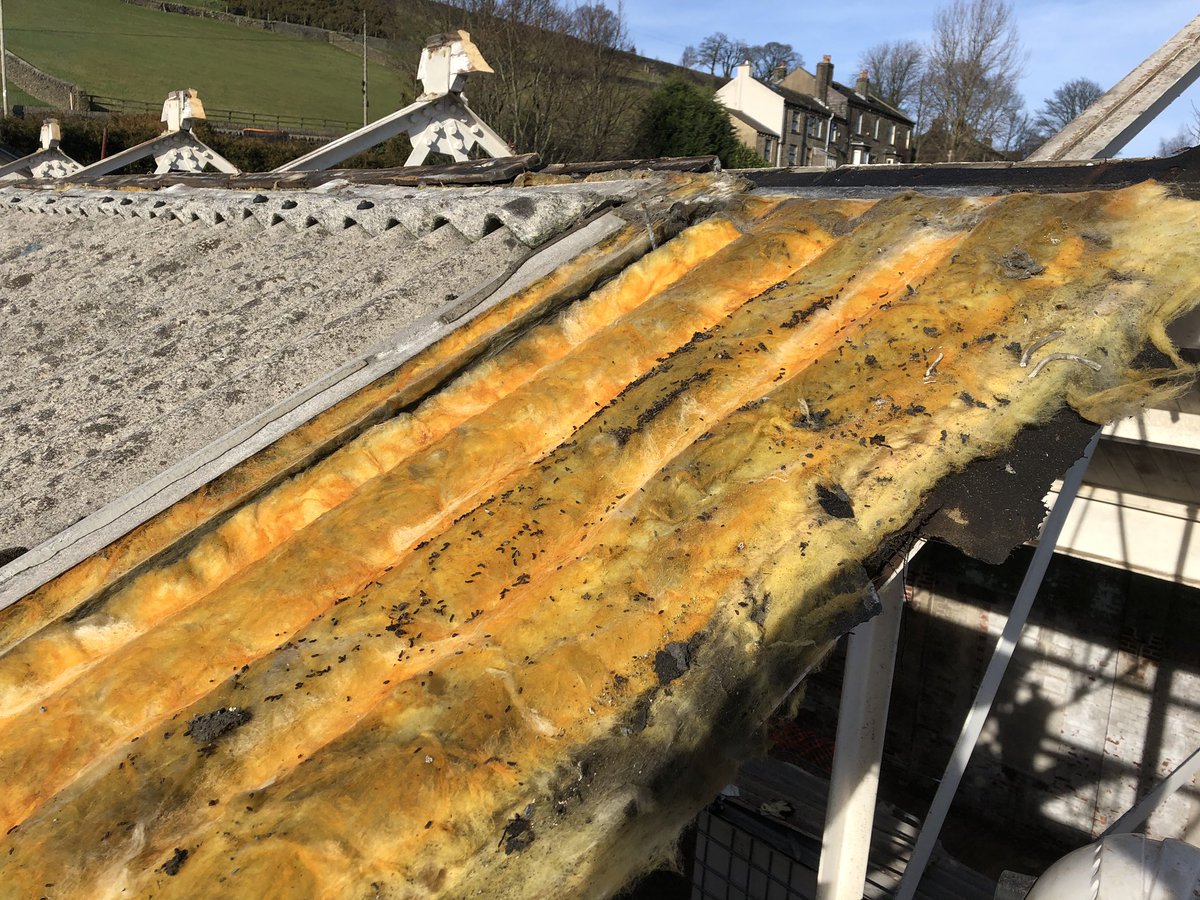 WhitcherWild's tweet image. Bat Low Impact Class Licence (BLICL) roof stripping prior to demolition. #blicl #naturalengland #bat #mitigation #ecology #demolition