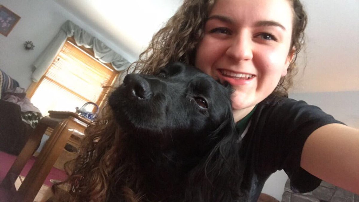 izzyharvey99's tweet photo. Losing Tinky has gotta be one of the hardest things I’ve ever had to go through🐾 I miss my sweet girl😔 https://t.co/JpkSQaeFCe