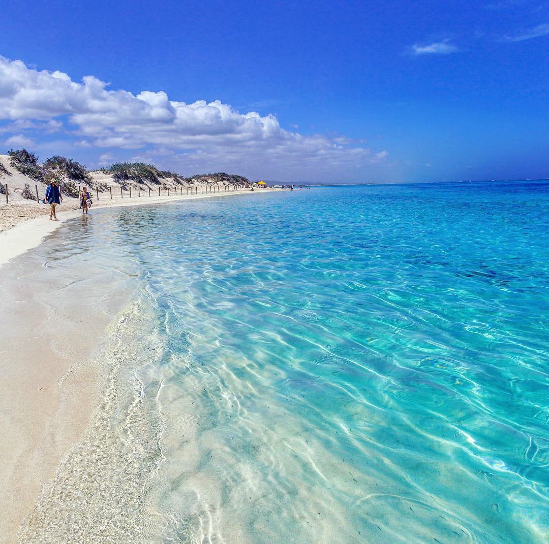 Western Australia tweet media