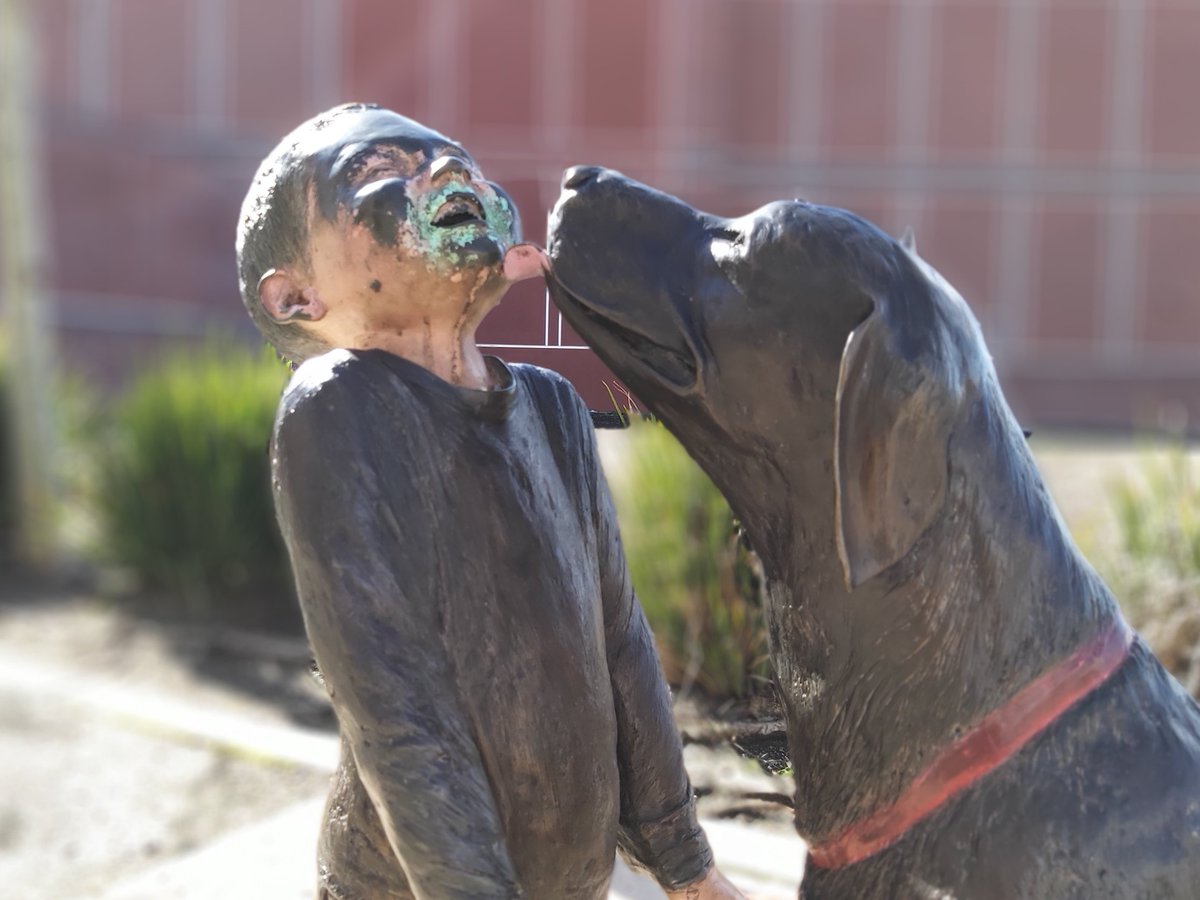 grant_likes's tweet image. A few #LiveFocus shots from the #Samsung #GalaxyA8s 📷