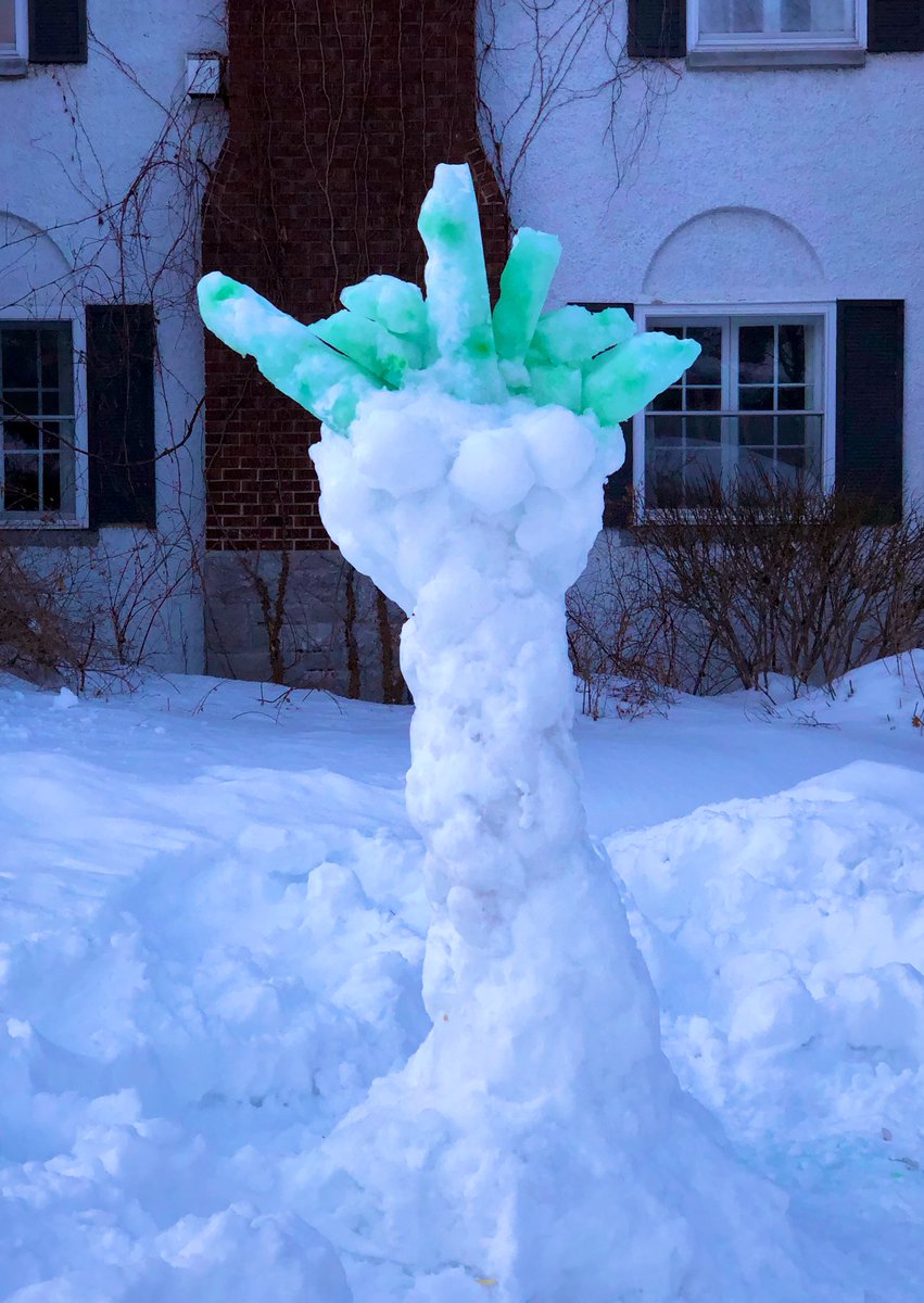 CatherineMPound's tweet photo. @intheglebe #snowphytrophy. Snow palmtree 😉 https://t.co/1quy7ajx4l
