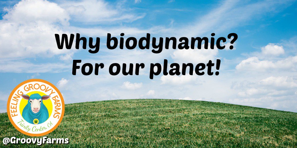 We're proud to farm using biodynamics for a better product and a better planet. 🌎 🌍 🌏 #BiodynamicFarm #OrganicFarm