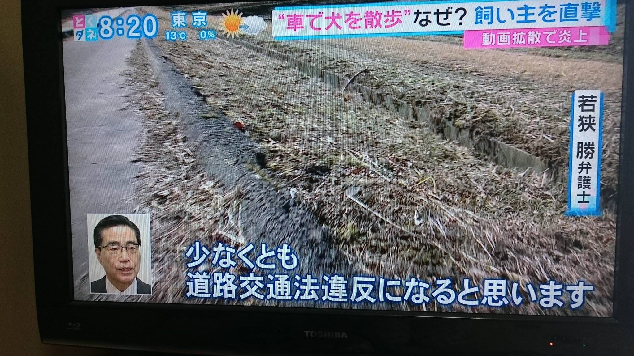 画像 とくダネ 取り上げてくれてありがとう 犬を車で散歩していた老人何よりも怪我が無くて良かった T Co Ho2f8izyl5 まとめダネ 画像 とくダネ 取り上げてくれてありがとう 犬を車で散歩していた老人何よりも怪我が無くて良かった T Co Ho2f8izyl5 まとめダネ