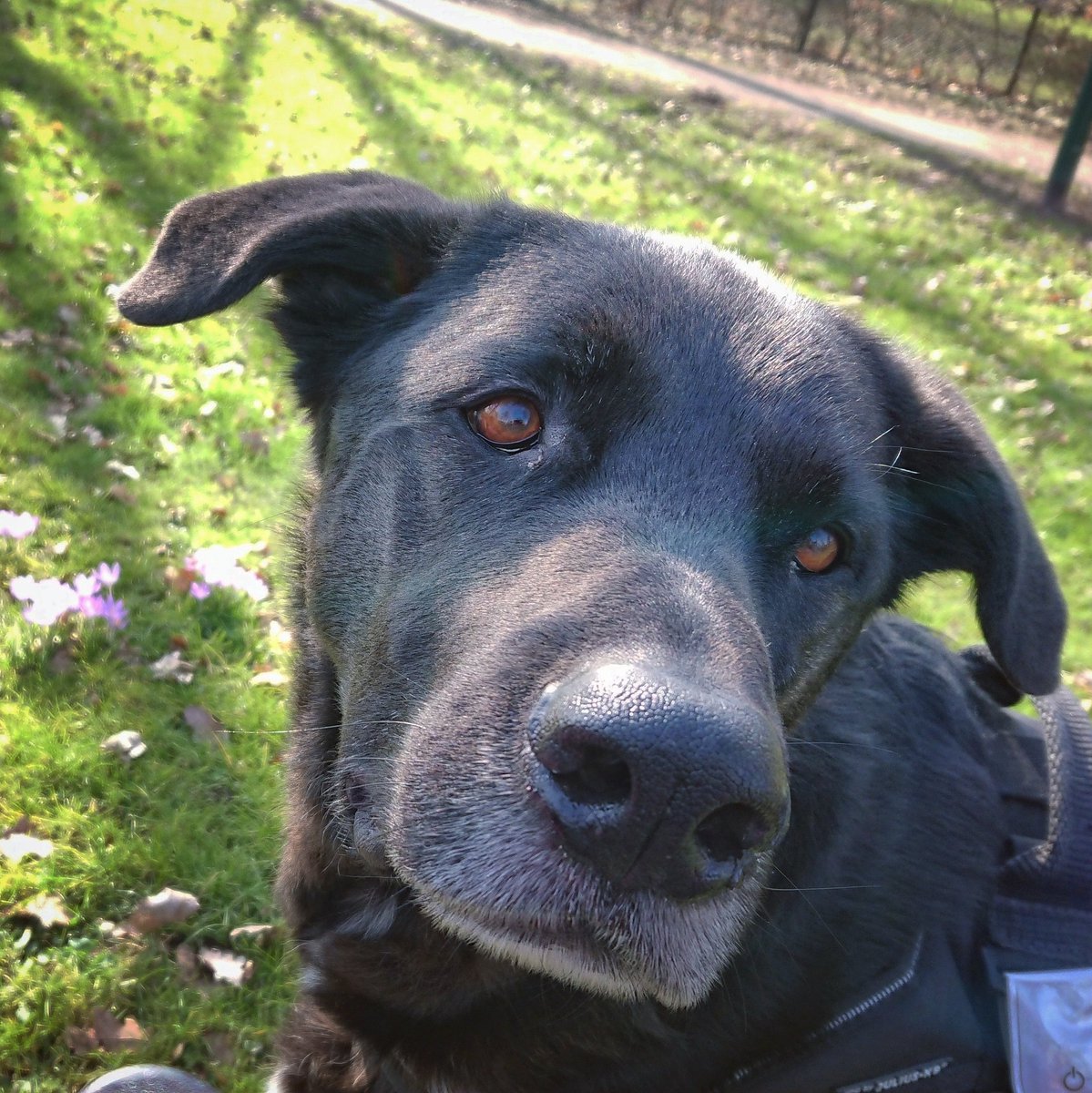 #NieuweProfielfoto #hallovoorjaar