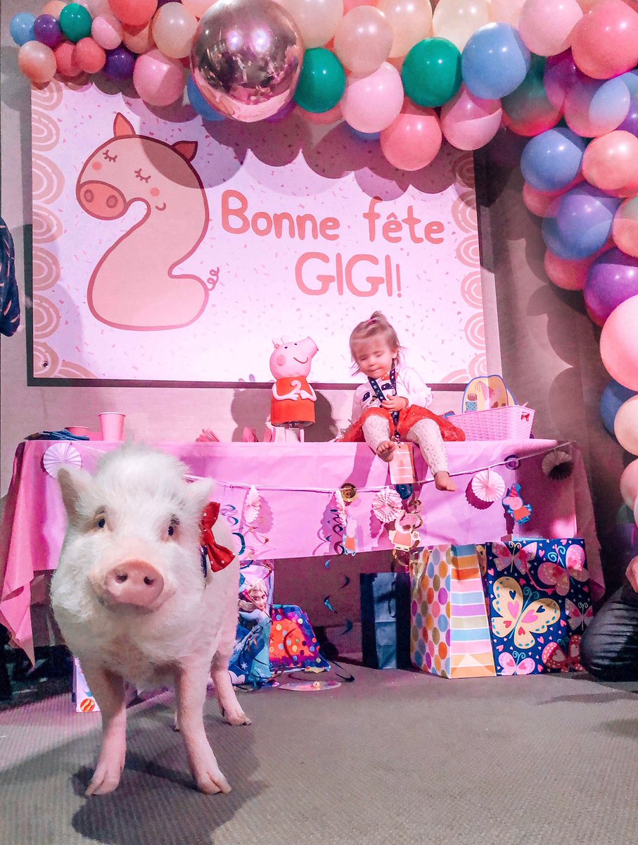 Christopher the Pig tweet media
