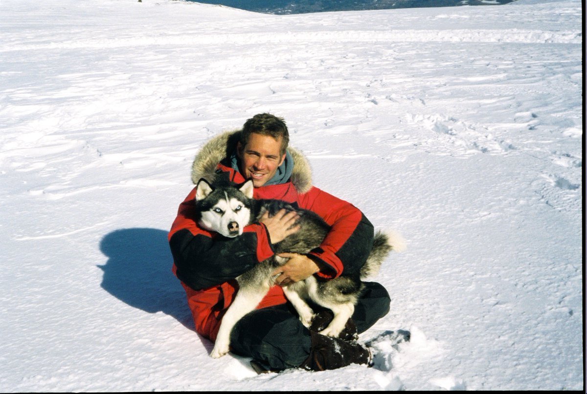 EIGHT BELOW was released on this day, 13 years ago.  We miss you, Paul Walker.  #EightBelow #FlikflixPick  @DisneyStudios #DavidDiGilio @RealPaulWalker #BruceGreenwood #MoonBloodgood @JasonBiggs @KenedyMarshall