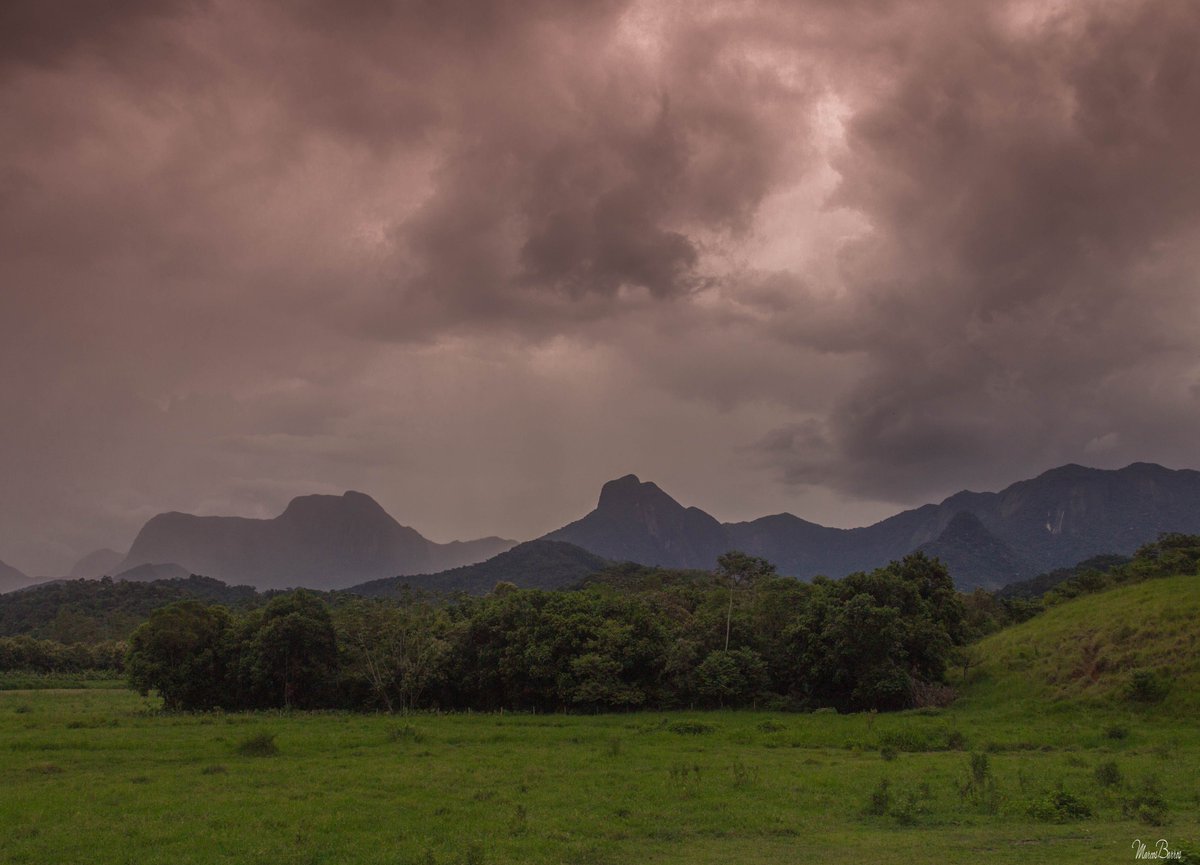 marcosmcbarros's tweet photo. Cachoeiras de Macacu, Rio de Janeiro, Brasil.
#macacu #natureza #naturaleza #nature #natur #brasil #brazil #riodejaneiro #paisaje #landscape #PintoFotografia https://t.co/Cwh8x0u6T7