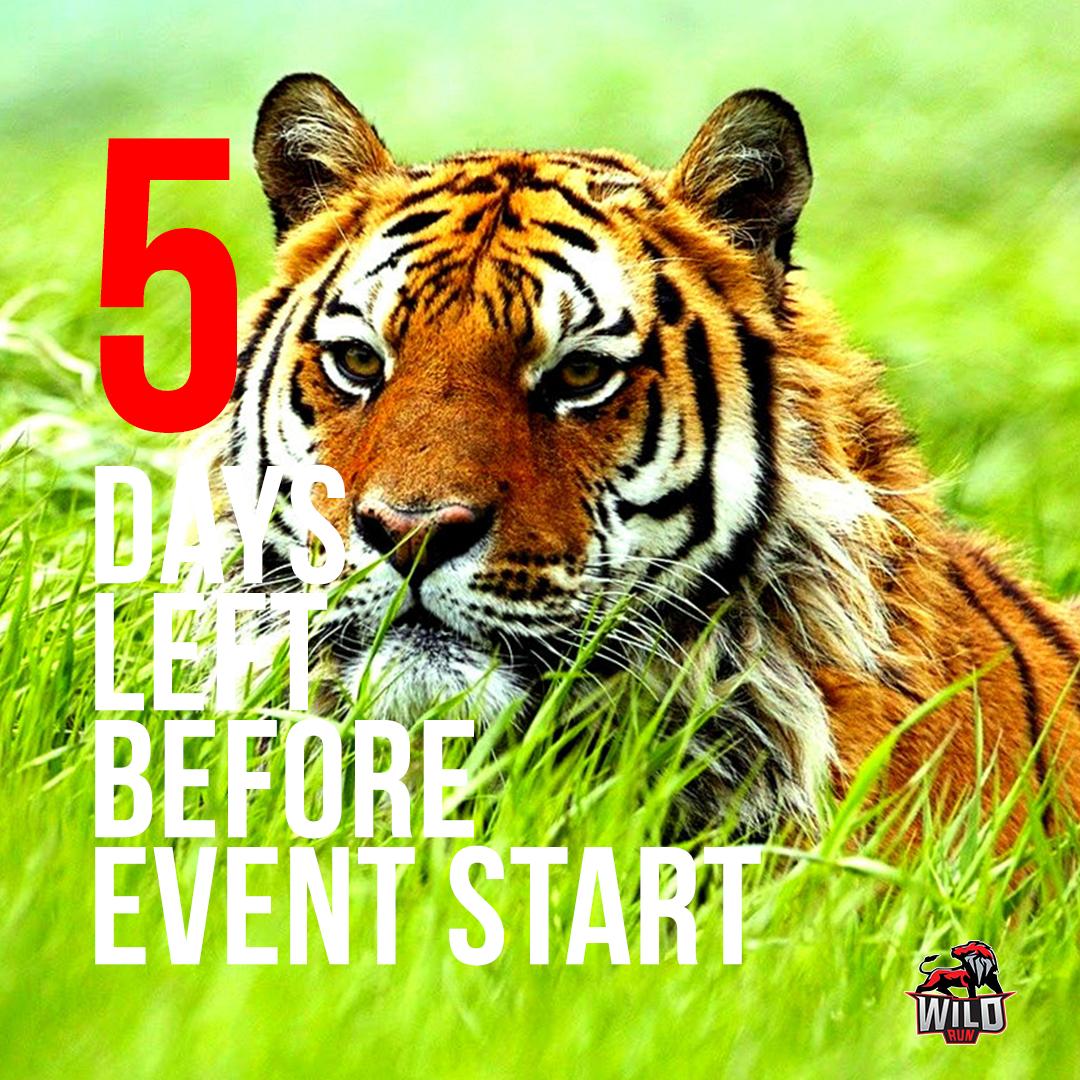wildrunutm's tweet image. Our runners, are you readyyyyy.
Let's warm up together 🤸🏃‍♂️
Only 5 days left 😥😥😥😥