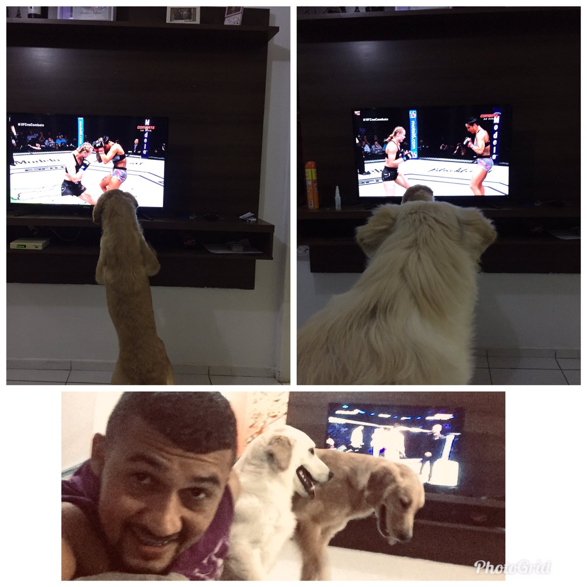 #UFCnoCombate 
Não perdemos um UFC.
#luke_Maya#
