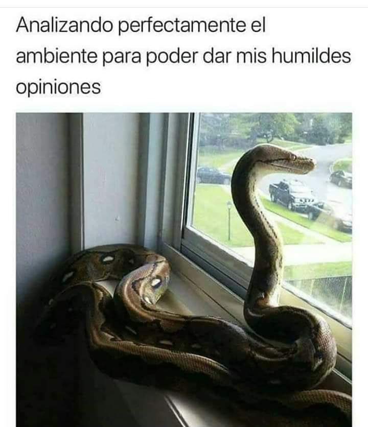 LauraBruges's tweet photo. Así #YoEnTwitter https://t.co/Qmhbl9bXVf