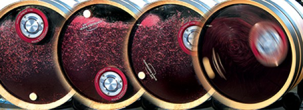 WhereIsPinot's tweet photo. "It's a fascinating and complex science, knowing what the vines need to succeed and produce fruit of good enough quality to make premium wine." https://t.co/GHDtTyZZ8C #Wine #MalicAcid #Fermentation https://t.co/cWqZ60MZCi