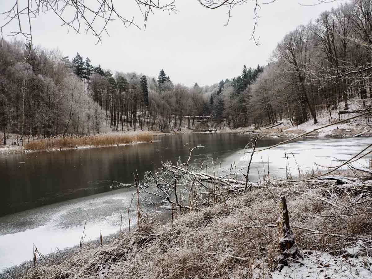 puriyunterwegs's tweet photo. Raus aus der Stadt. Einmal um den See. Winterspaziergang um den sagenumwobenen Baasee https://t.co/IiNugf07SZ #baasee #brandenburg https://t.co/myxg9KG1P7
