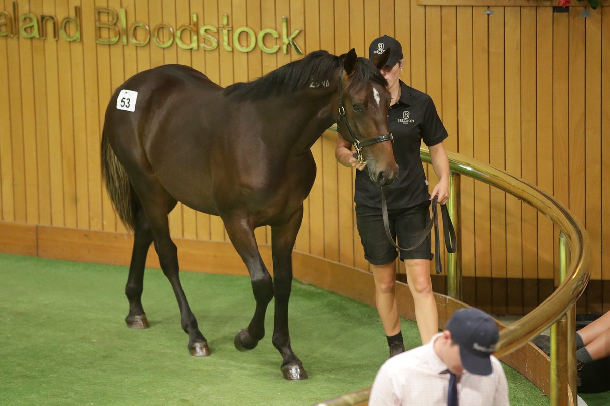 Here is a run down of today's <a href="/nzbstandardbred/">NZB Standardbred</a> sale at Karaka. Plenty of interviews done and much more coverage tonight, tomorrow and in this week's <a href="/HarnessedNZ/">Harnessed</a>. Plus we've got your back at Christchurch tomorrow and Wednesday, too.

theinformant.co.nz/the-past-prese…