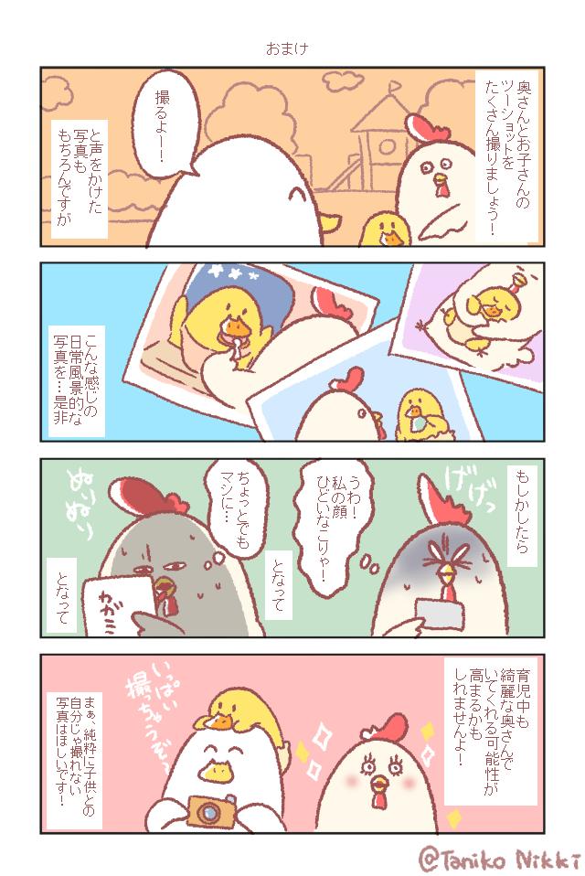 続きです！
最後はおまけです！

#鶏さんの絵日記 