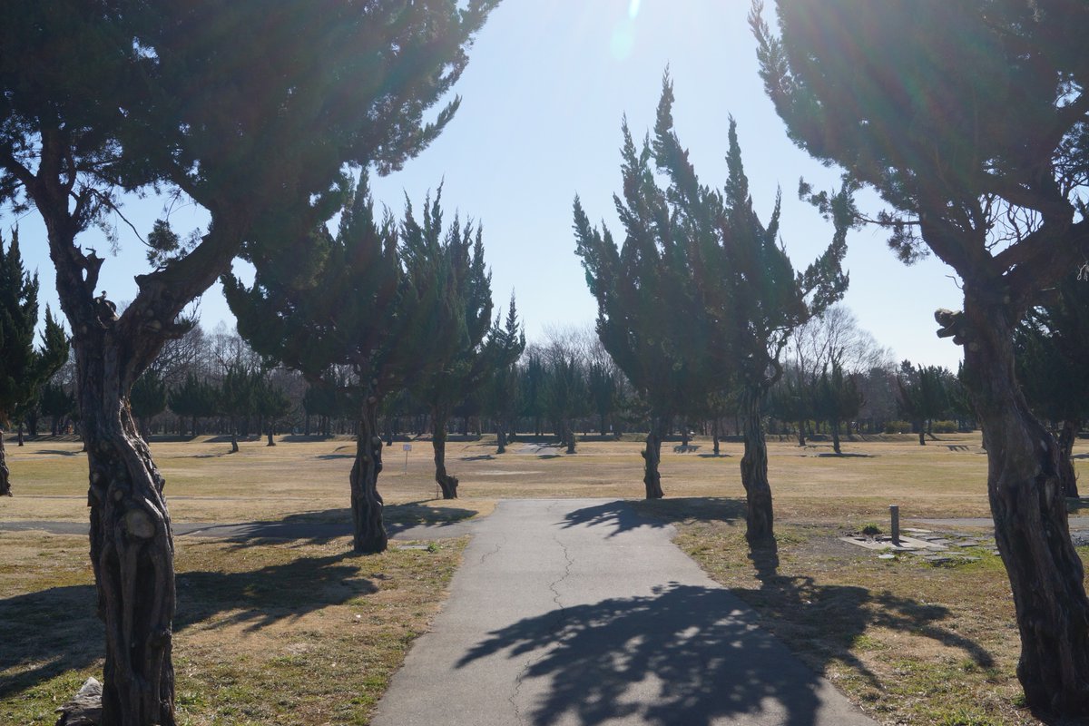 秋ヶ瀬公園 公式 2月18日 月 bbq解禁まで2週間を切りましたね 今日はbbqエリア 予約不要で火器用具1個につき500円を現地徴収 をご紹介します W ノ エリアは大きく分けて園内に3か所なので 別々に投稿します ノ 最初は西洋庭園です 秋ヶ瀬公園 公式 2月18日 月 bbq解禁まで2週間を切りましたね 今日はbbqエリア 予約不要で火器用具1個につき500円を現地徴収 をご紹介します W ノ エリアは大きく分けて園内に3か所なので 別々に投稿します ノ 最初は西洋庭園です