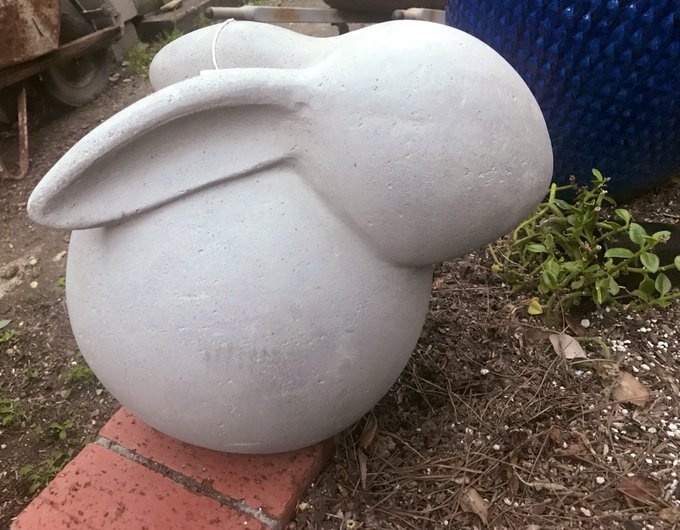Today I went to a museum, bought new vegetables for my garden, and adopted a bunny 🐰 https://t.co/qP<a href="/tag/wip"class="tags"><span>#wip</span></a>