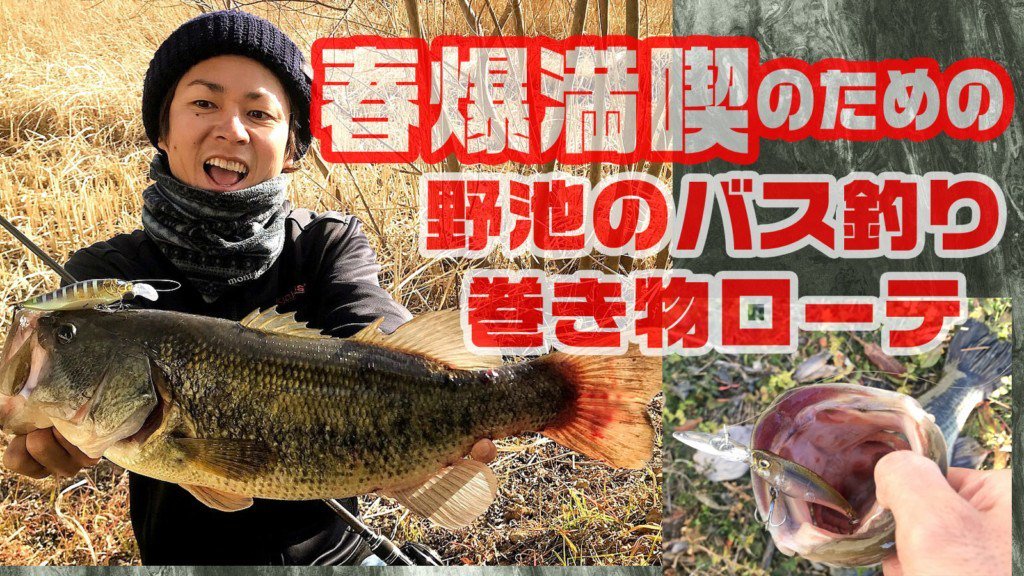 lurenewstv's tweet photo. 春爆を満喫するための野池のバス釣り巻き物ローテーション【寄稿by狩野 陽】
#フラップスラップ #フラップスラップLBO #FLAPSLAP #狩野陽 #megabass #シャッディングX #野池のバス釣り #ルアーニュース https://t.co/bxEcg9GGee https://t.co/xs5cOQumKH