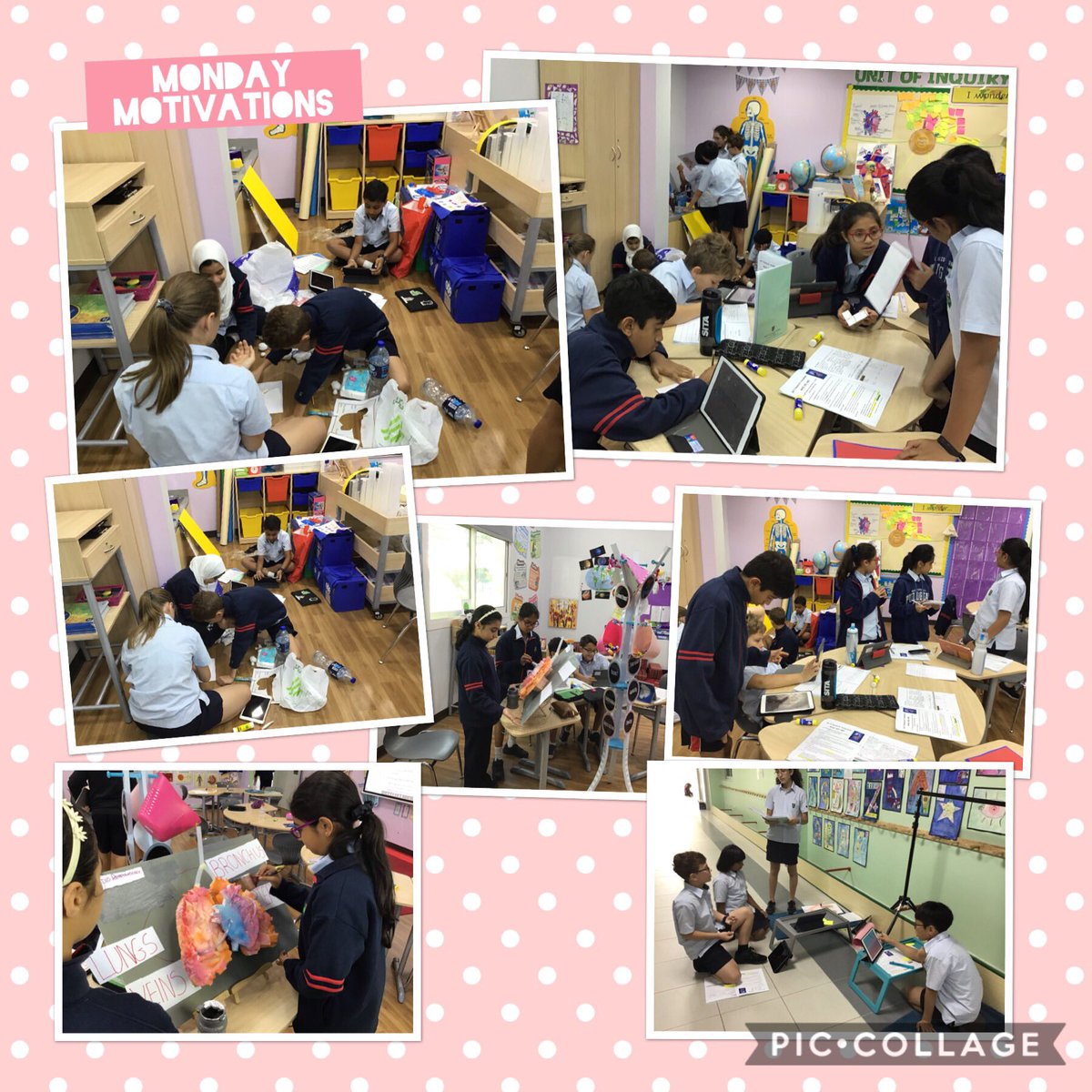 DIAB_Grade5's tweet photo. Principled, caring, open-minded, knowledgeable, reflective.....our IB communicators preparing for our upcoming Bodyology Fair #activelearning #DIABcommunity #DIABcreativity #DIABwellbalanced #education #learning https://t.co/H3SleRy03n
