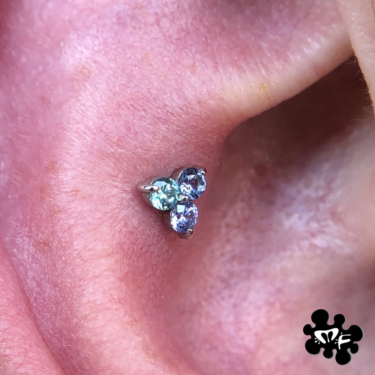alien_snot's tweet photo. This @anatometalinc Swarovski Prong Trio was made for this spot! Curious about your ears? Shop our showcases, tell us what you like, and we’ll help make your ear fabulous 💁🏻‍♂️💎 https://t.co/x9PwghJZqf