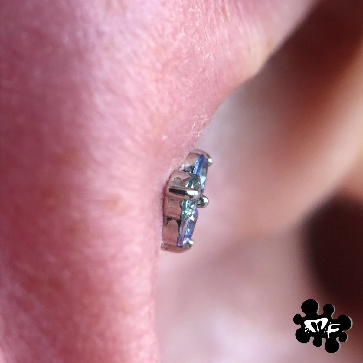 alien_snot's tweet photo. This @anatometalinc Swarovski Prong Trio was made for this spot! Curious about your ears? Shop our showcases, tell us what you like, and we’ll help make your ear fabulous 💁🏻‍♂️💎 https://t.co/x9PwghJZqf