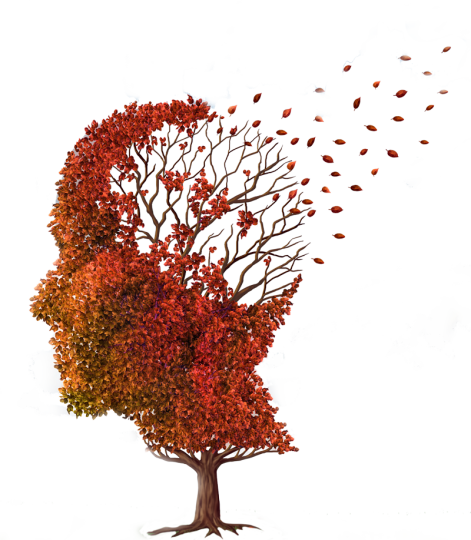 summit_diabetes's tweet photo. Impaired #insulin signaling in the #brain could change the #mood and #metabolism which leads to #Alzheimer.

Get more details at https://t.co/lIUbhqECjY

#summit_diabetes #diabetes_conference #obesity_congress #heart_gatherings #london @summit_diabetes @Diabetescouk @DiabetesUK https://t.co/I2VO0eCjtw