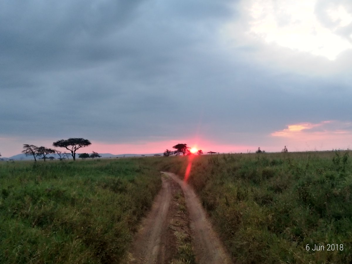 How would you caption this?
Best Pic @EveningTime
.
.
#tanzaniasafari #safari #tanzania #bestview #nature
#photography #picoftheday #wildlife #tanzaniawildlife
#bestsafariinafrica #africa #exploreafrica #aventure
#traveltoafrica #africansafari #besttimetovisit #nature