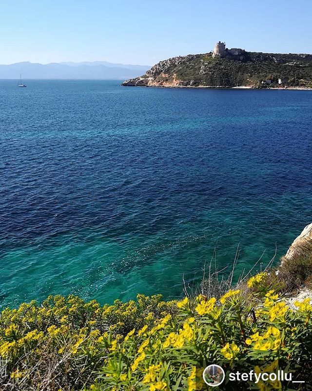 😍😍😍
•
#calamosca #calamoscacagliari #casteddu #sardegna #sardinia #febbraio #sunnyday #shotz_of_sardegna #sardegnaofficial #sardegnageographic #sardegna_exp #sardegnagram #instasardegna #instasardegnabeach #sonntag #sunday #love #beautifulday#thehubs… bit.ly/2GQkIzh