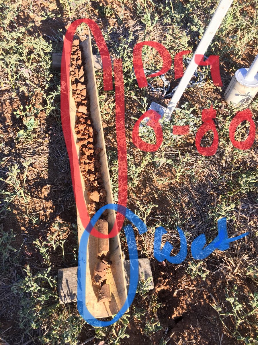 Birchip SMM site. 150mm+ in mid December on 2018 fallow and summer weeds sprayed=moisture well below 100cm Vs Un sprayed and  most of the moisture has been used by Helitrope.