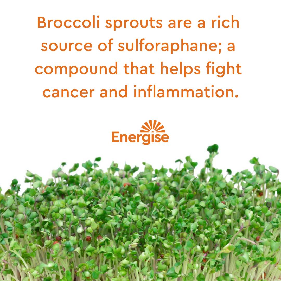 EnergiseAcademy's tweet photo. This week we're going to celebrate perhaps THE most important sprout there is... the broccoli sprout!
Check back each day for a new fact about this incredible living food.
#Energise #MoreRaw #MoreLiving #Broccoli #BroccoliSprouts #Sulforaphane https://t.co/ZWUN9aEU7c