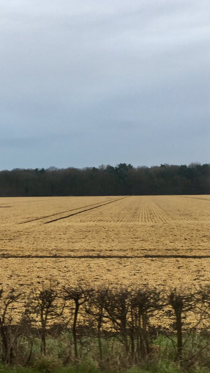 TimC10's tweet image. Not a good sight this morning on my way to work.