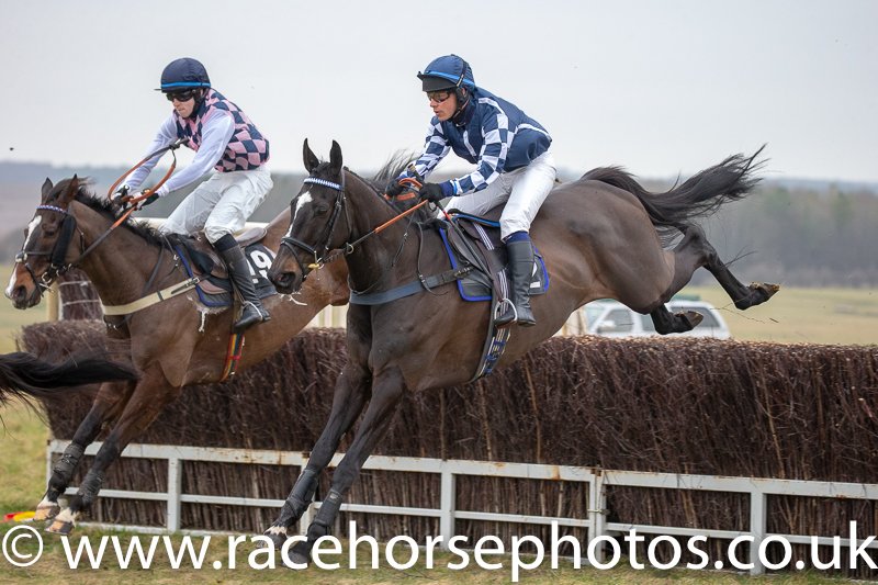 Racehorsephoto5's tweet photo. Net Work Rouge (A Llewellyn) win the Novice Riders race at Larkhill yesterday @mjyharris https://t.co/Yu2benbYv0