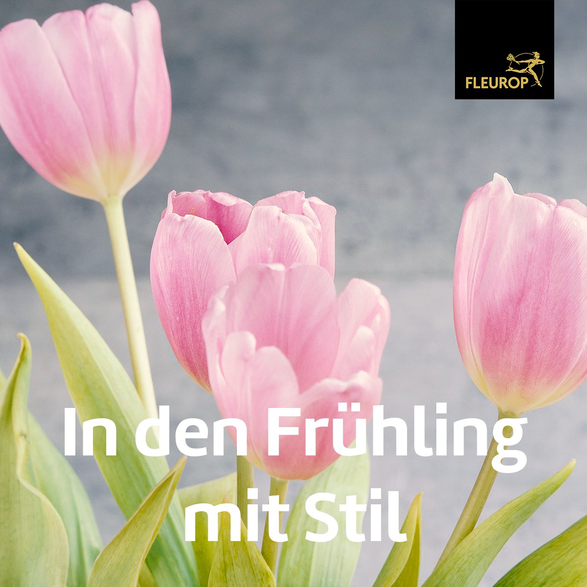 Habt ihr gewusst, dass die Tulpe in der Schweiz die beliebteste Frühlingsblume ist? Sie hat Menschen schon früh in ihren Bann gezogen, hat sie fasziniert … aber teilweise auch ruiniert. Um sie ranken sich die wildesten Geschichten. Mehr dazu: bit.ly/2SFU57p