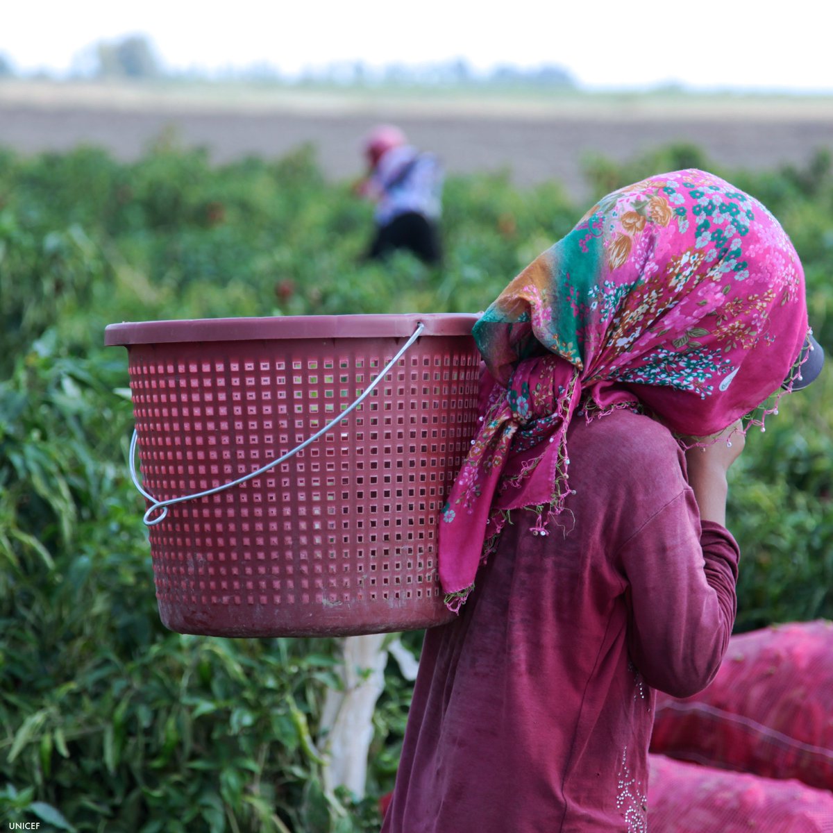 UN Committee on Economic, Social and Cultural Rights is meeting in Geneva from 18 February to 8 March to review the following countries: Bulgaria, Cameroon, Estonia, Kazakhstan, and Mauritius.
Learn more: http://ow.ly/wzk230nJGLu
#CESCR65