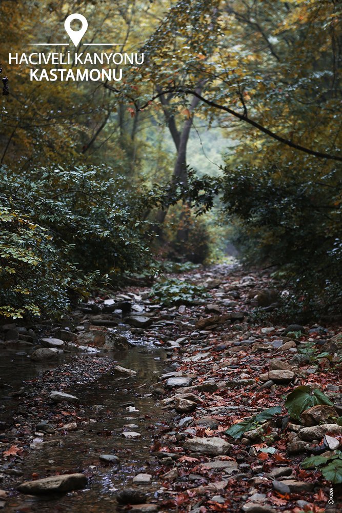 #pazartesineşesi ve #pazartesikeyfi doğada! Kastamonu'ya gelirseniz Hacı Veli Kanyonu'na uğrayın mutlaka!
#kastamonu #kastamonutravel #naturelovers #hacıvelikanyonu #canyoning #nature #peaceinnature