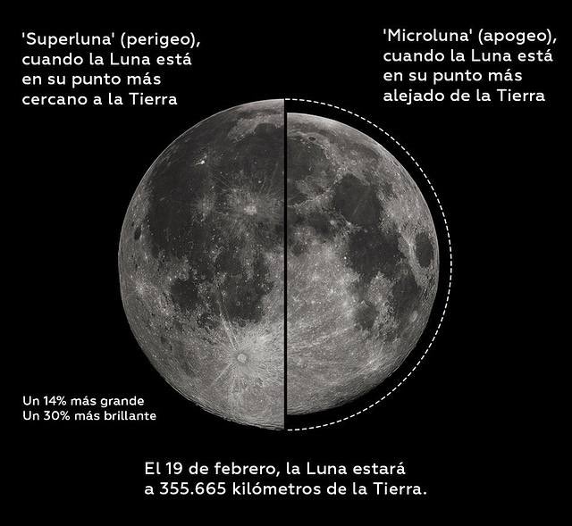 Ver imagen en Twitter