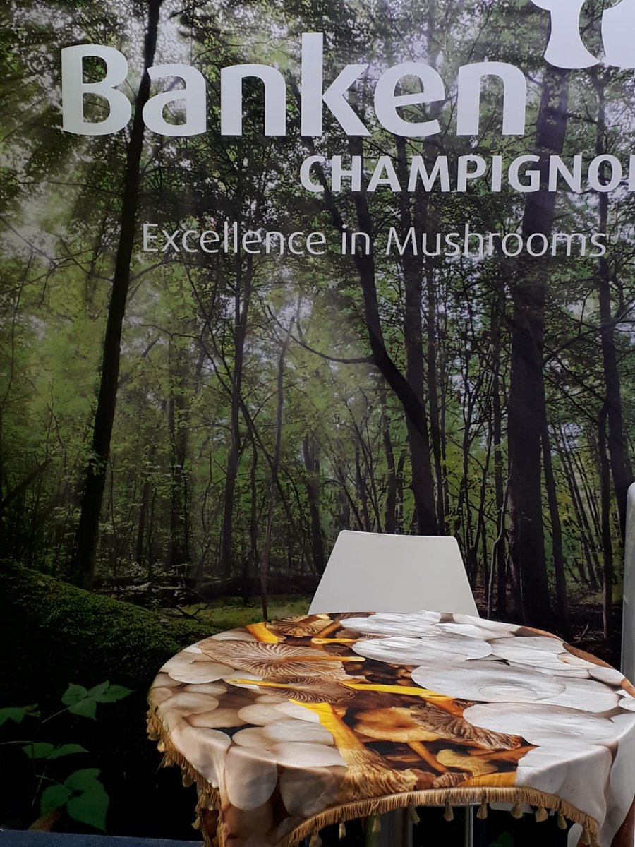 BankenChamp's tweet image. This week we are attending at Gulfoodin Dubai! You are welcome to visit us in Hall Shk Saeed 2, stand S2-C16 @BankenChamp