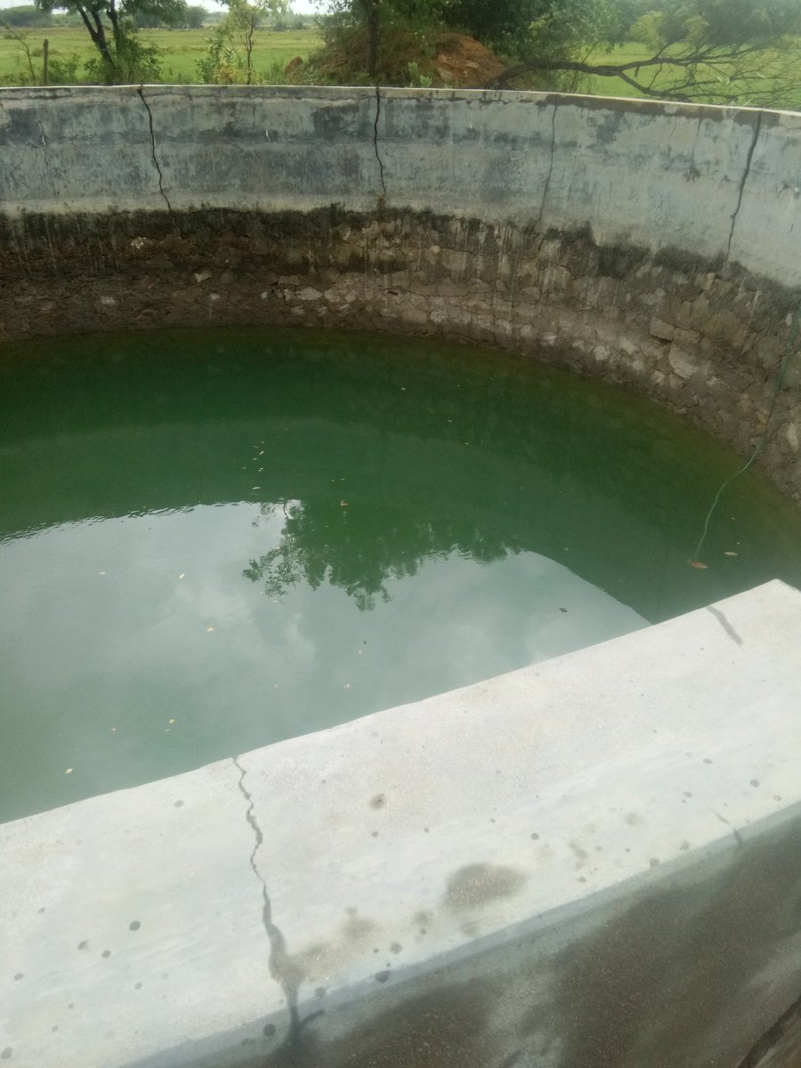 Phoenixdevelop3's tweet image. #farmlandsaleinkanchipuram just 90 #rs per #sq.ft hurry limited period offer contact number #vinoth:8608412803 #realestate #RealEstateInvesting #framlandinkanchipuram #nature #PulwamaTerrorAttacks #starlightldh #lowbudjetfarmhousce #farmhouse #tn #CheTempoCheF #investor #investor