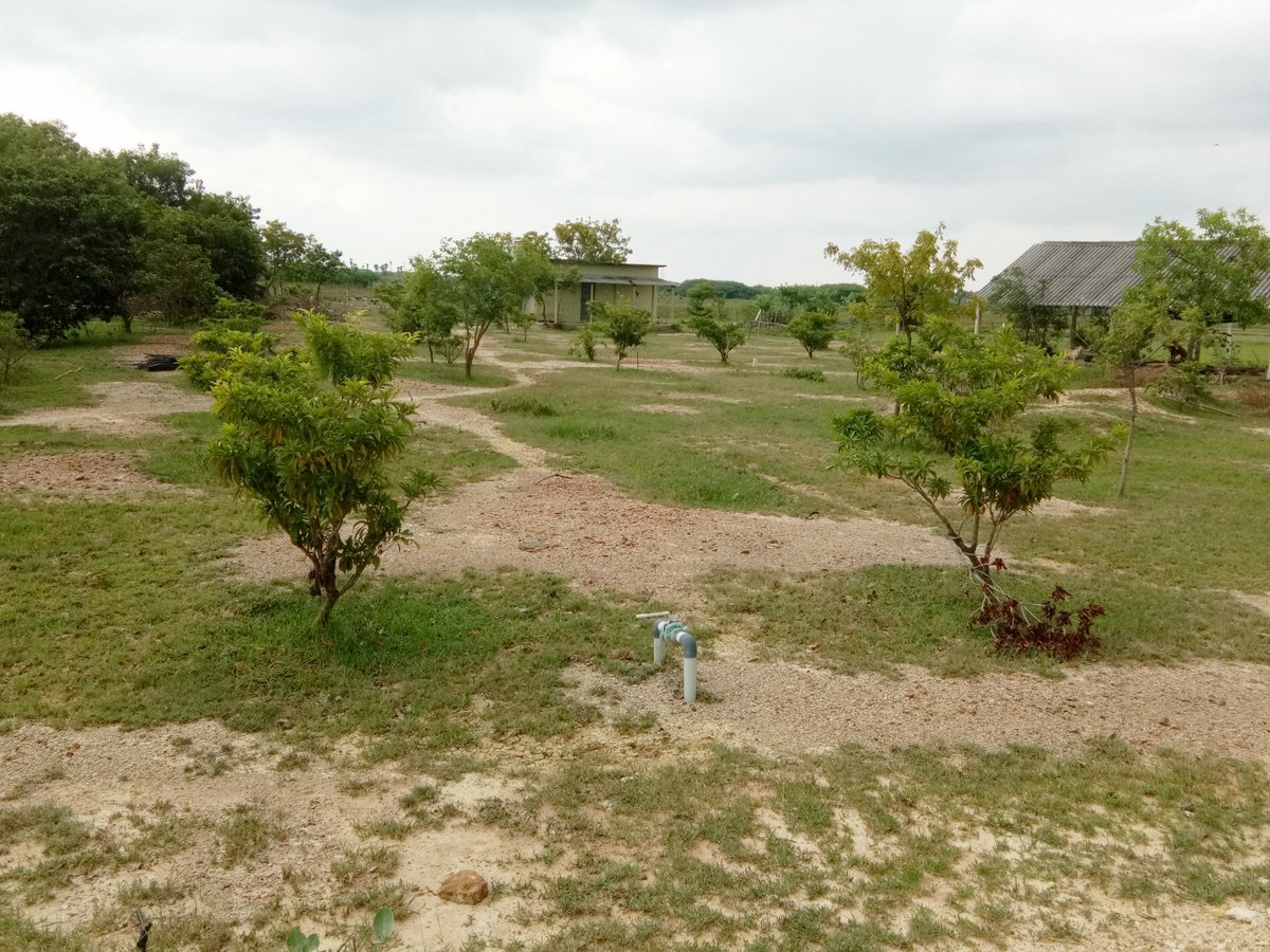 Phoenixdevelop3's tweet image. #farmlandsaleinkanchipuram just 90 #rs per #sq.ft hurry limited period offer contact number #vinoth:8608412803 #realestate #RealEstateInvesting #framlandinkanchipuram #nature #PulwamaTerrorAttacks #starlightldh #lowbudjetfarmhousce #farmhouse #tn #CheTempoCheF #investor #investor