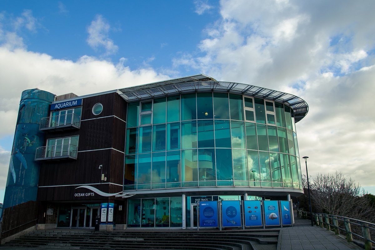 NMAPlymouth's tweet photo. We're happy to be joined by some other fantastic Ocean Conservation organisations for Half Term! With shows, talks, feeds & more, this week is the perfect time to visit us here at the UK's largest Aquarium. #nmaocean #seathedifference #oceanoptimism https://t.co/LUBPCGcSrj