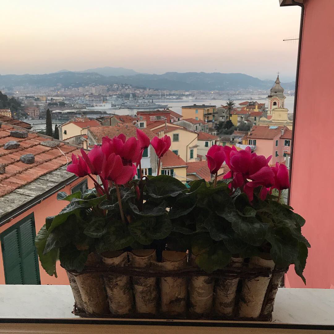 bizzieauthor's tweet photo. A room with a view... 
#Fezzano, #golfo #laspezia #February https://t.co/b1Ek3GJgig