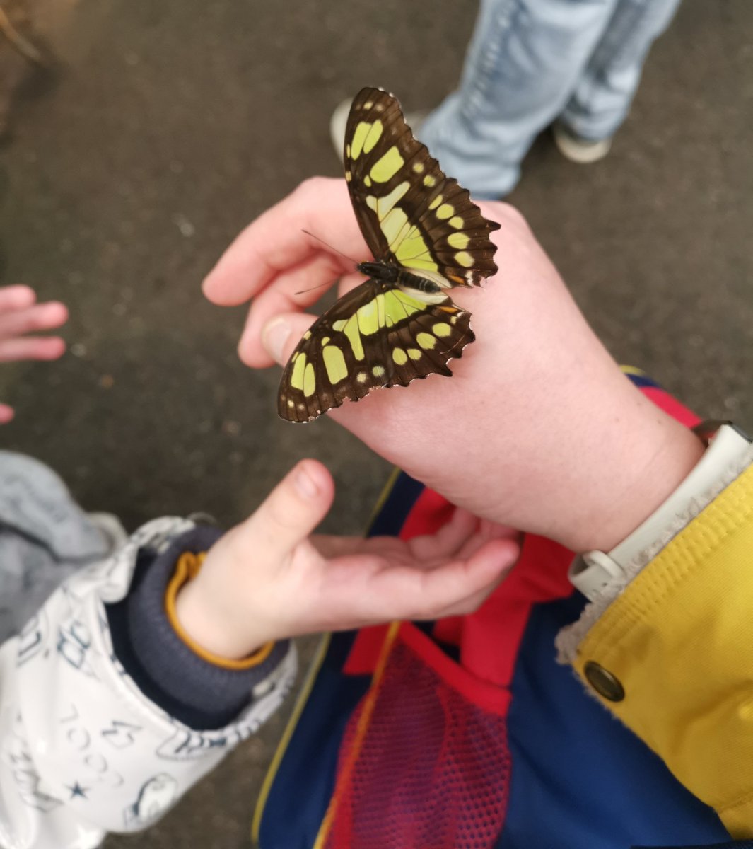 Emma Tuvnes (@3mm4page) on Twitter photo 