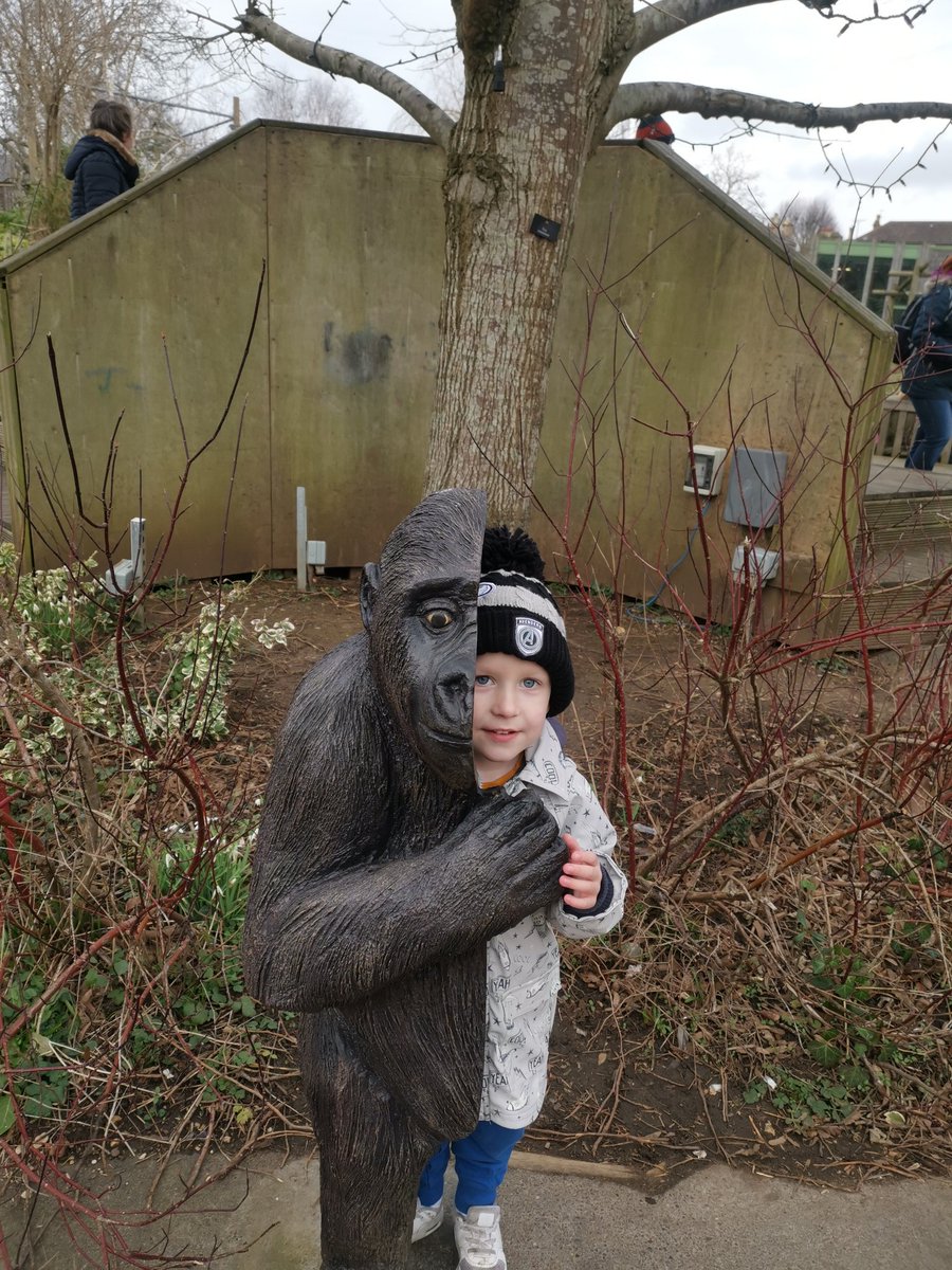 Harley Gunnar 💙💙