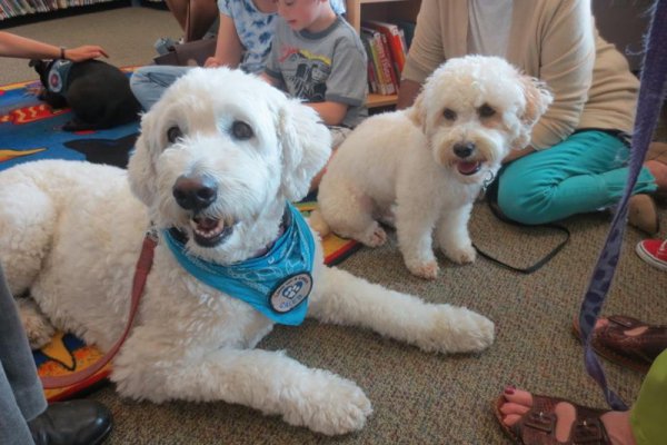 #kids Doggie Storytime: Love on a Leash TOMORROW  <a href="/sdcountylibrary/">San Diego County Library</a> socialrugrats.com/event/Doggieab…