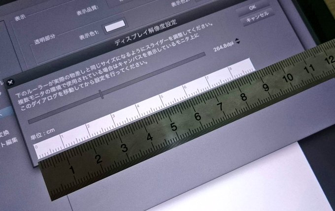 10 Cm ものさし 実寸