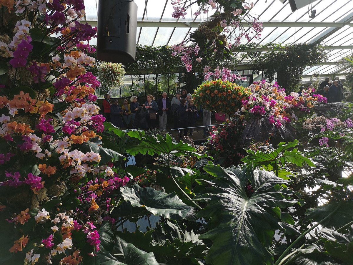 RedRubyEvents's tweet photo. A great way to get inspiration on how to use #flowers to create a #theme @kewgardens #orchidfestival #eventprofs #eventplanner #venue #flowerdisplay https://t.co/OW2vS2TdyY