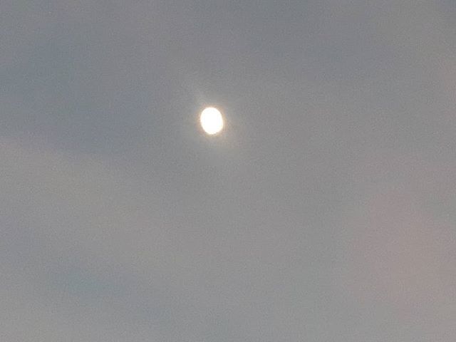 Lisakav76's tweet image. Friday's early evening moon
#moonlight #moonlitsky #moonsofinstagram bit.ly/2V0IfBy