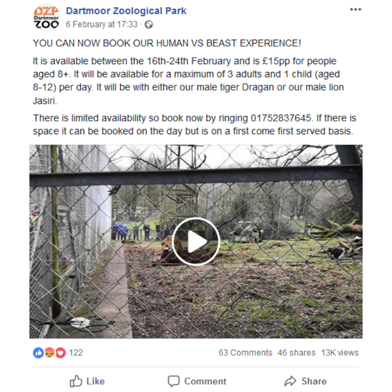 BornFreeFDN's tweet photo. .@DartmoorZoo to offer ‘Human vs Beast Experience’ this February half-term. Is a tug of war game with a lion or tiger really the way to inspire respect for these animals? RT to urge the zoo to rethink this! #DontBuyCaptivity #KeepWildlifeInTheWild 🦁🐯 https://t.co/7LvnjmAoZQ