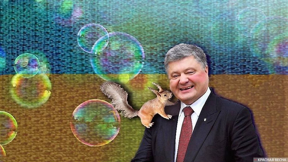 Картинки порошенко и белочка