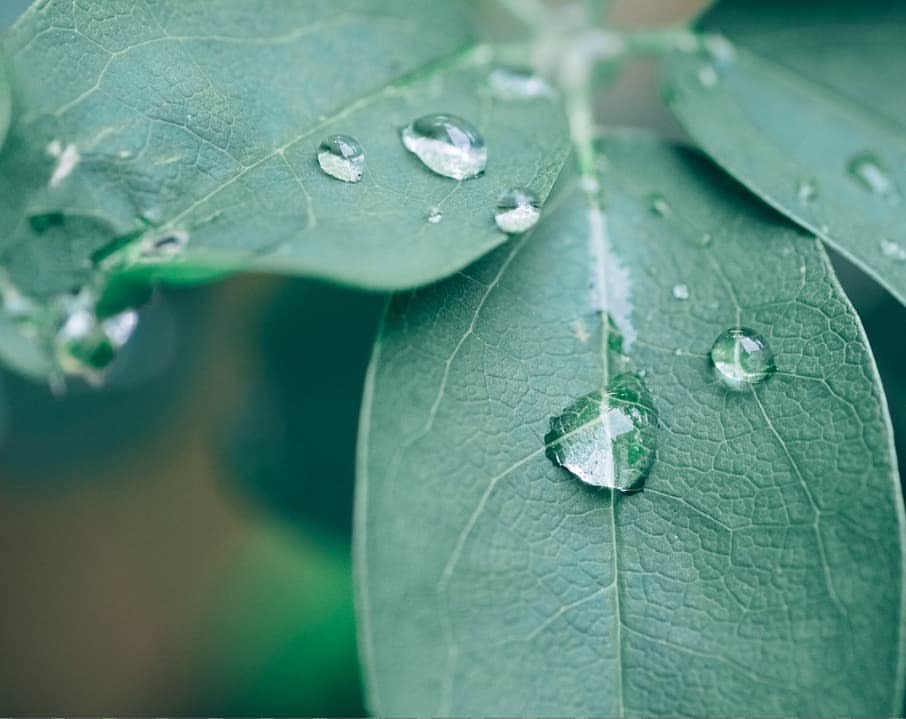 type:A deodorant tweet media