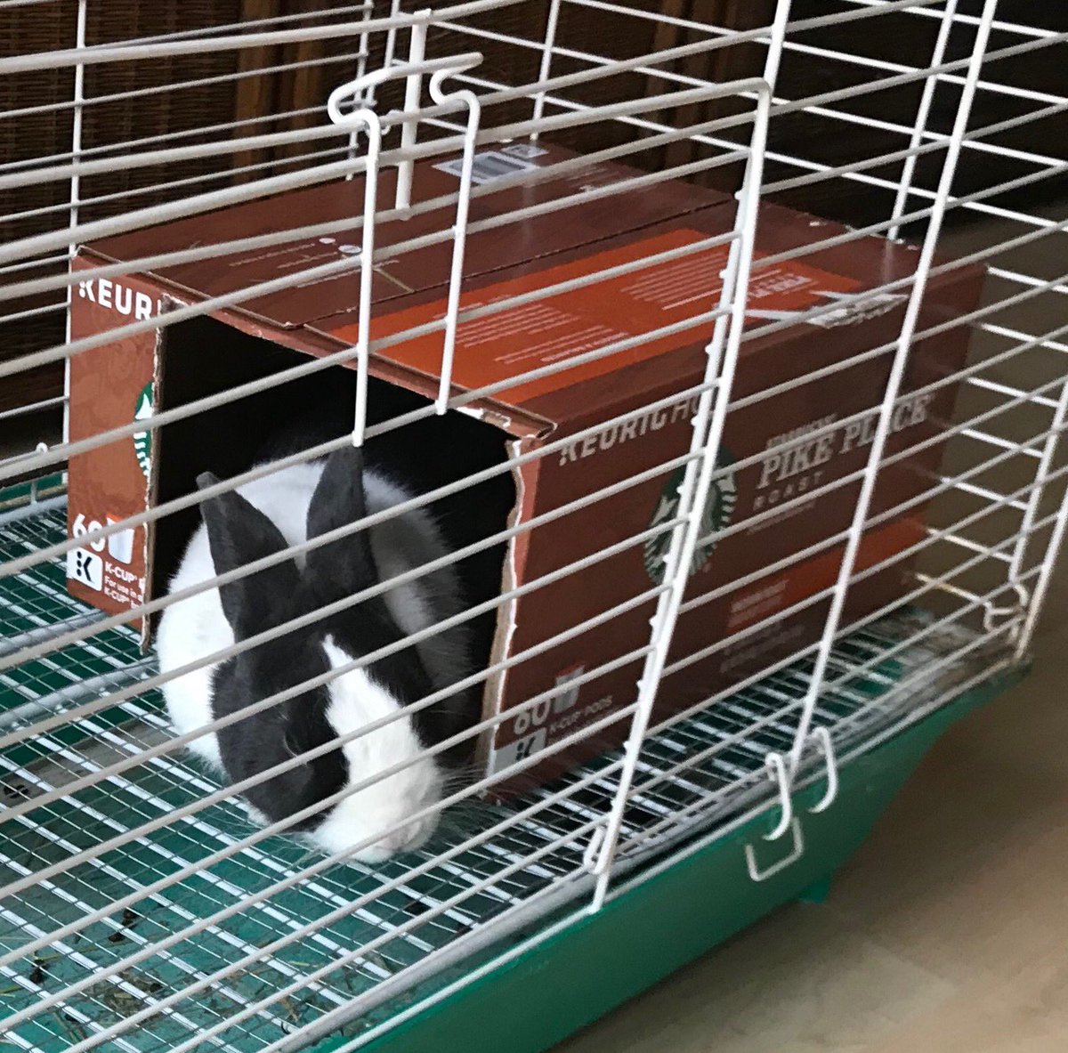 Starbucks Coffee Company support.starbucks.com/#.XGreMicDItI.… via <a href="/Starbucks/">Starbucks</a>    THIS IS King Kamehameha, a very discriminating boy enjoying his Pike Place house. He gets a new one every two weeks and only likes Starbucks!